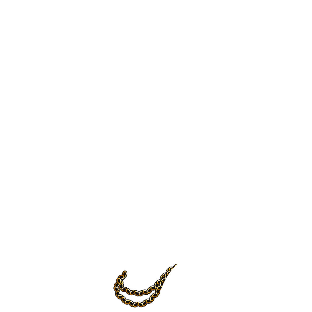 neck_05