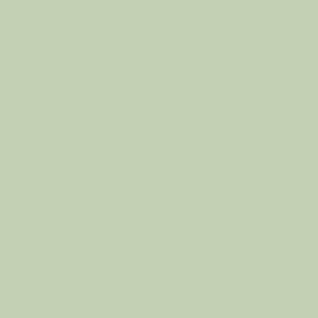 background_02