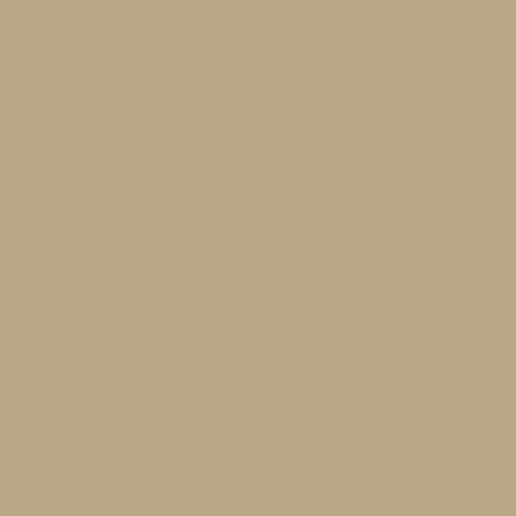background_08